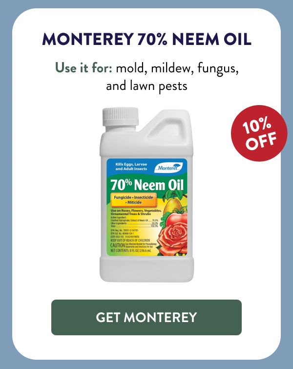 Monterey 70% Neem Oil Use it for: mold, mildew, fungus, and lawn pests [GET MONTEREY]