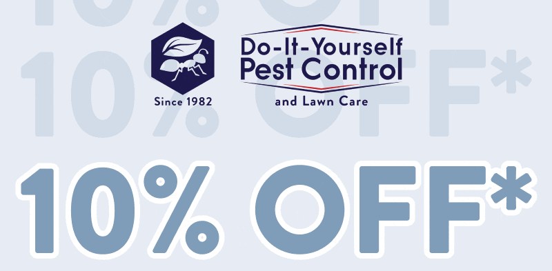 10% Off*
