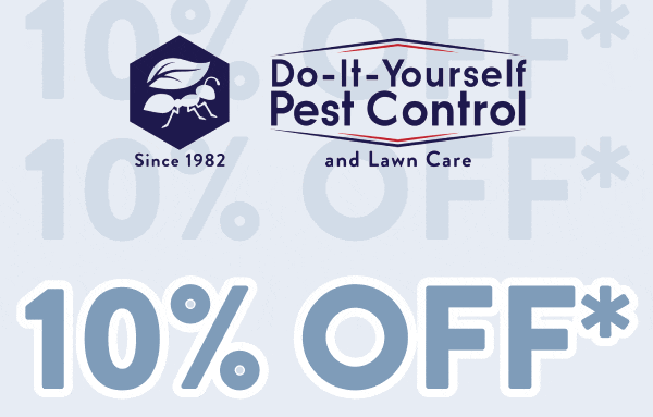 10% Off*