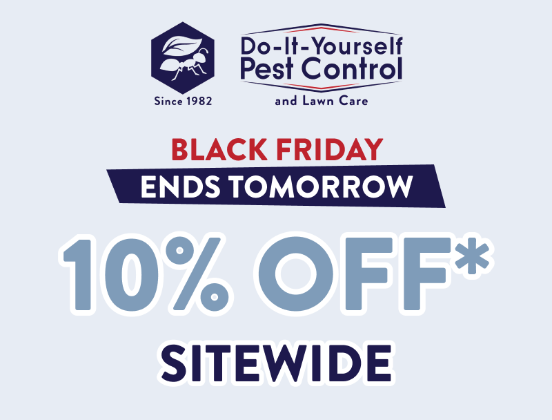 Black Friday Ends Tomorrow  10% Off* Sitewide