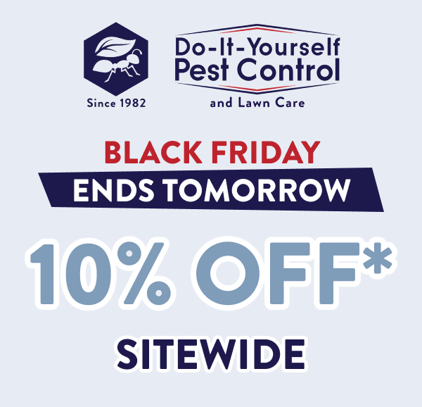 Black Friday Ends Tomorrow 10% Off* Sitewide
