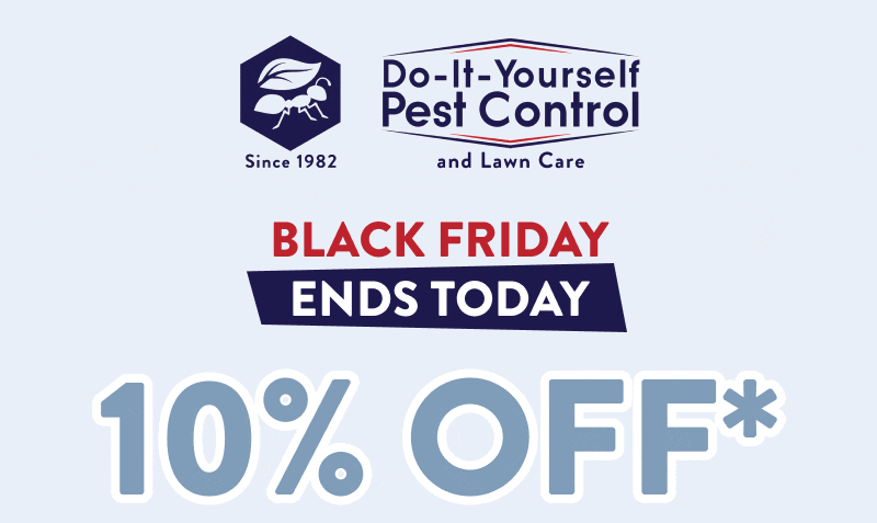 Black Friday Ends Today  10% Off*
