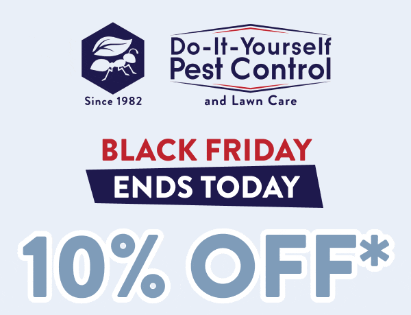 Black Friday Ends Today 10% Off*