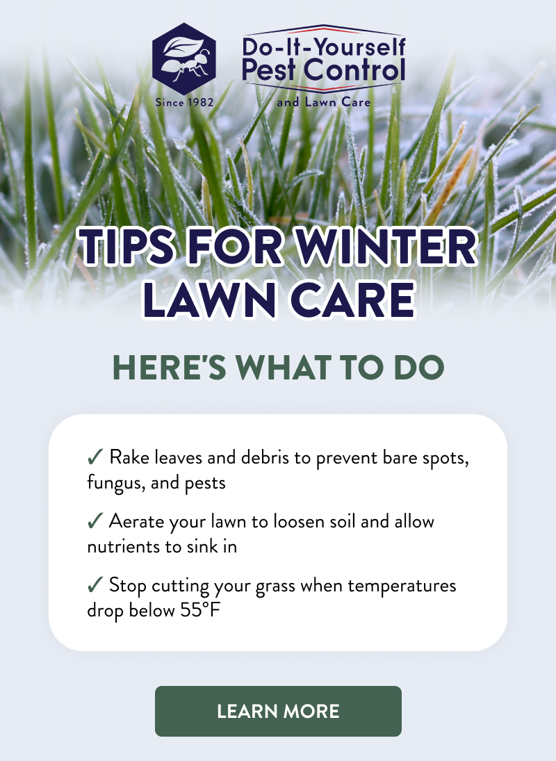 Tips for Winter Lawn Care  Here's What to Do  ✔ Rake leaves and debris to prevent bare spots, fungus, and pests ✔ Aerate your lawn to loosen soil and allow nutrients to sink in ✔ Stop cutting your grass when temperatures drop below 55°F  [LEARN MORE]