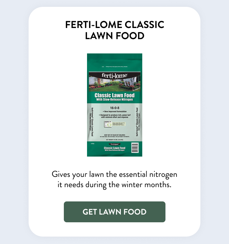 Ferti-Lome Classic Lawn Food  Gives your lawn the essential nitrogen it needs during the winter months.  [GET LAWN FOOD]