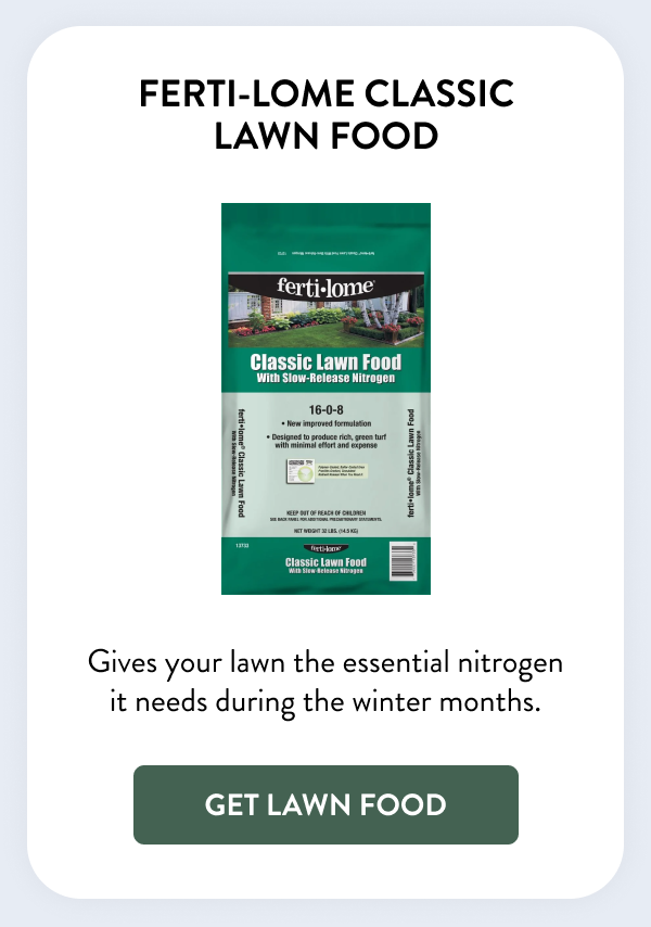 Ferti-Lome Classic Lawn Food Gives your lawn the essential nitrogen it needs during the winter months. [GET LAWN FOOD]