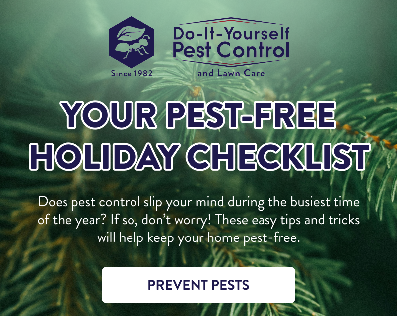 Your Pest-Free Holiday Checklist  Does pest control slip your mind during the busiest time of the year? If so, don’t worry! These easy tips and tricks will help keep your home pest-free.  [PREVENT PESTS]