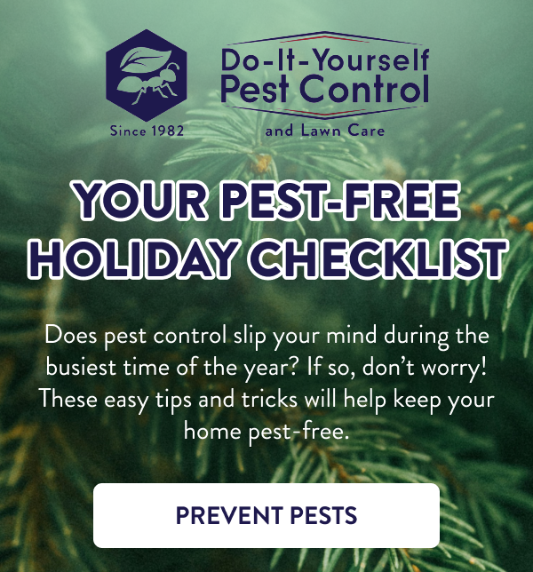 Your Pest-Free Holiday Checklist Does pest control slip your mind during the busiest time of the year? If so, don’t worry! These easy tips and tricks will help keep your home pest-free. [PREVENT PESTS]
