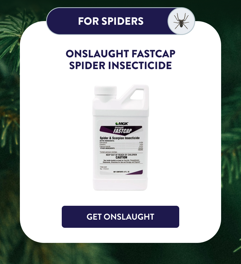 For Spiders  Onslaught FastCap Spider Insecticide  [GET ONSLAUGHT]