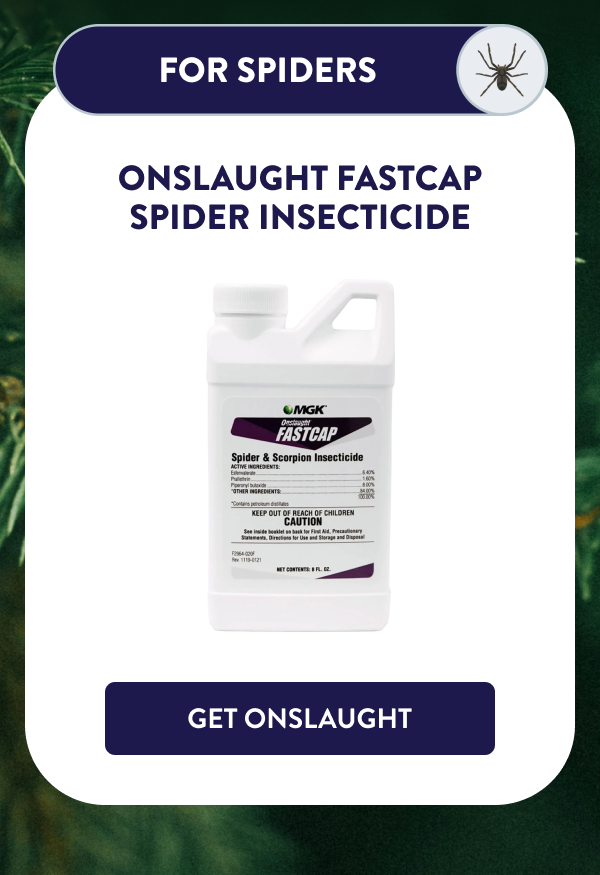 For Spiders Onslaught FastCap Spider Insecticide [GET ONSLAUGHT]