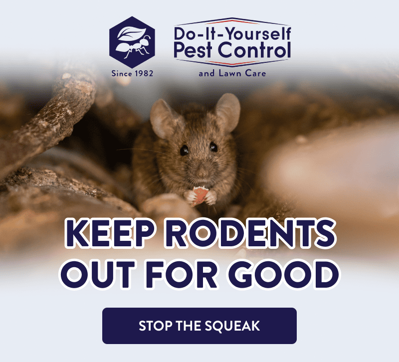 Keep Rodents Out for Good  [STOP THE SQUEAK]