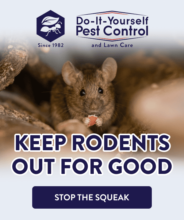 Keep Rodents Out for Good [STOP THE SQUEAK]