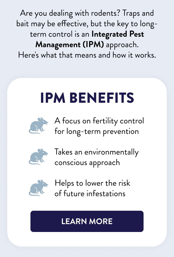 Are you dealing with rodents? Traps and bait may be effective, but the key to long-term control is an Integrated Pest Management (IPM) approach. Here's what that means and how it works. IPM Benefits ✔ A focus on fertility control for long-term prevention ✔ Takes an environmentally conscious approach ✔ Helps to lower the risk of future infestations [LEARN MORE]