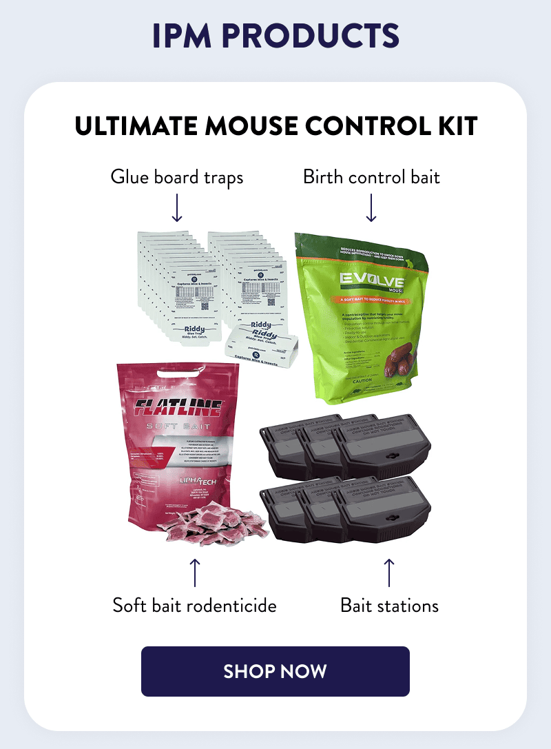 IPM Products  Ultimate Mouse Control Kit  - Soft bait rodenticide - Birth control bait - Glue board traps - Bait stations  [SHOP NOW]