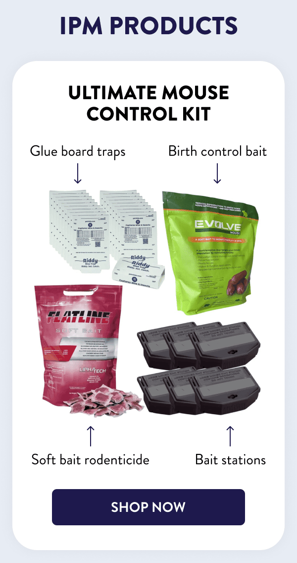 IPM Products Ultimate Mouse Control Kit - Soft bait rodenticide - Birth control bait - Glue board traps - Bait stations [SHOP NOW]