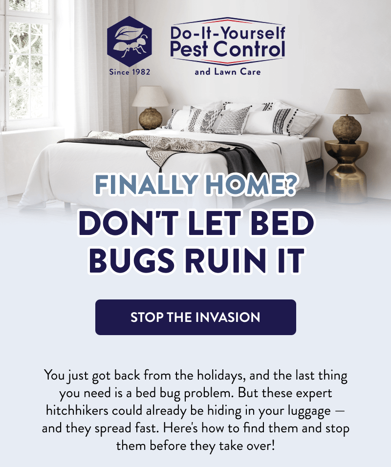 Finally Home? Don't Let Bed Bugs Ruin It  [STOP THE INVASION]  You just got back from the holidays, and the last thing you need is a bed bug problem. But these expert hitchhikers could already be hiding in your luggage — and they spread fast. Here's how to find them and stop them before they take over!