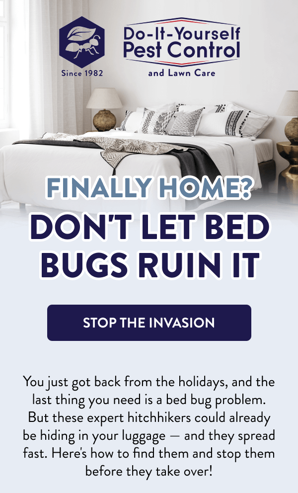 Finally Home? Don't Let Bed Bugs Ruin It [STOP THE INVASION] You just got back from the holidays, and the last thing you need is a bed bug problem. But these expert hitchhikers could already be hiding in your luggage — and they spread fast. Here's how to find them and stop them before they take over!