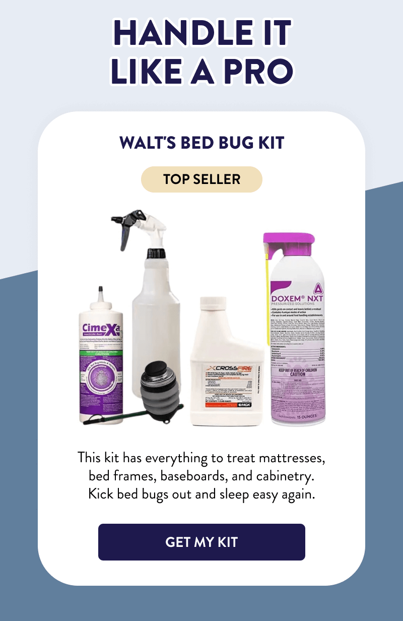 Handle It Like a Pro  Walt's Bed Bug Kit  This kit has everything to treat mattresses, bed frames, baseboards, and cabinetry. Kick bed bugs out and sleep easy again.  [GET MY KIT]