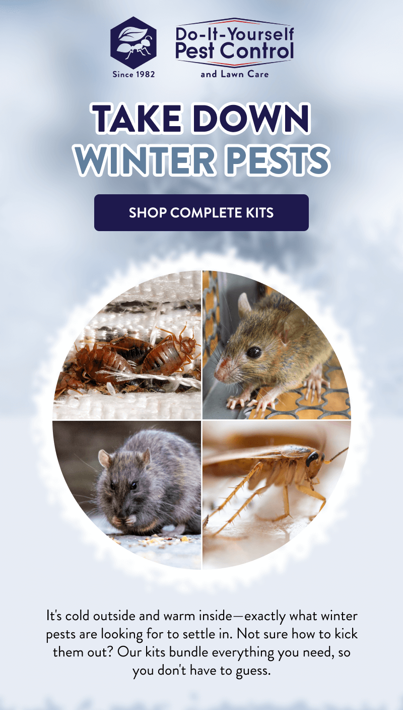 Take Down Winter Pests  [SHOP COMPLETE KITS]  It's cold outside and warm inside—exactly what winter pests are looking for to settle in. Not sure how to kick them out? Our kits bundle everything you need, so you don't have to guess.