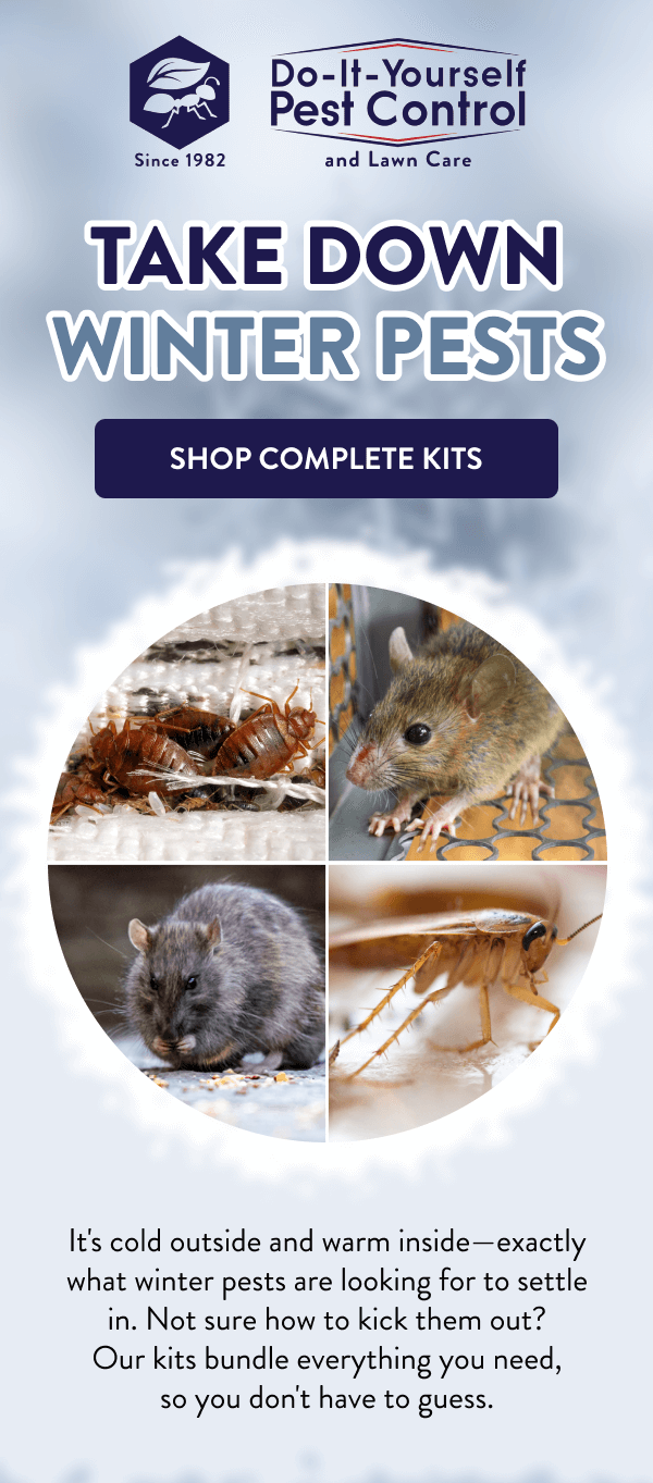 Take Down Winter Pests [SHOP COMPLETE KITS] It's cold outside and warm inside—exactly what winter pests are looking for to settle in. Not sure how to kick them out? Our kits bundle everything you need, so you don't have to guess.