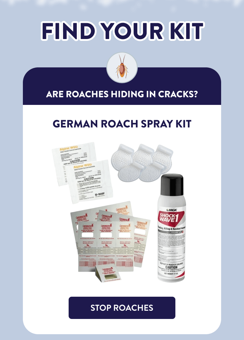 Find Your Kit  Are Roaches Hiding in Cracks?  German Roach Spray Kit  [STOP ROACHES]
