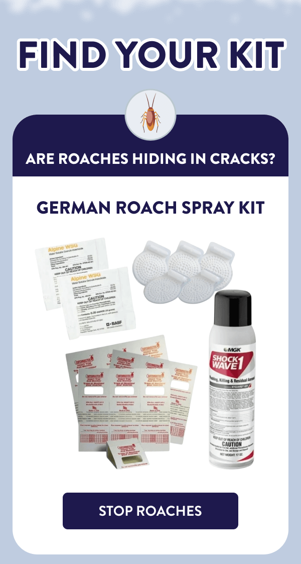 Find Your Kit Are Roaches Hiding in Cracks? German Roach Spray Kit [STOP ROACHES]