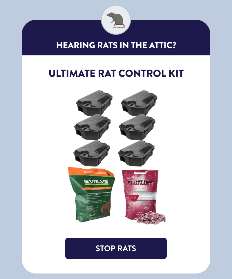 Hearing Rats in the Attic?  Ultimate Rat Control Kit  [STOP RATS]