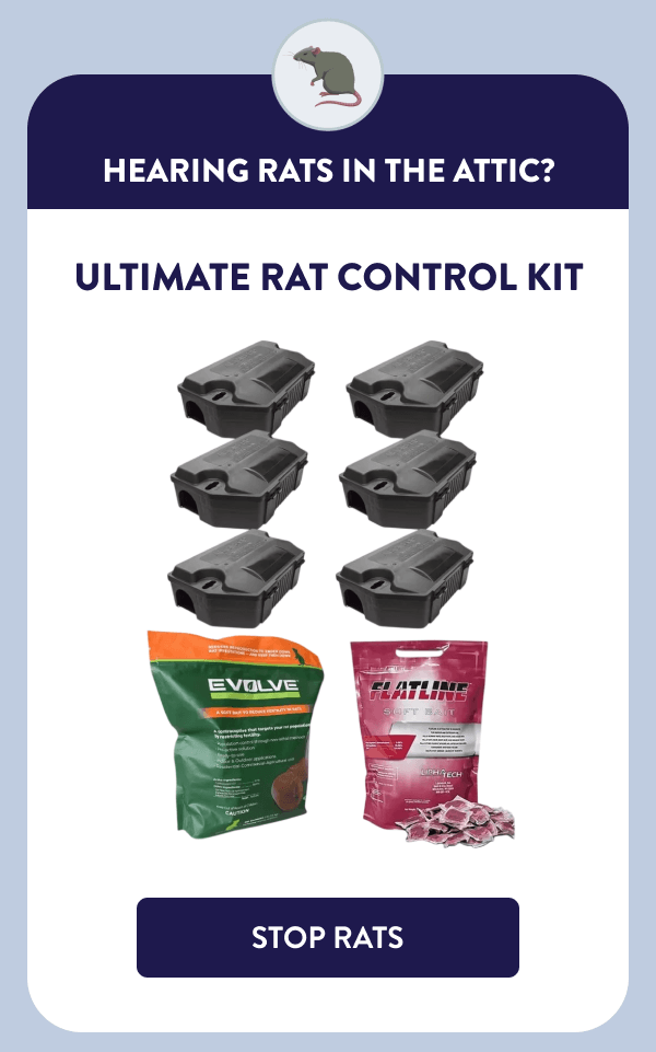 Hearing Rats in the Attic? Ultimate Rat Control Kit [STOP RATS]