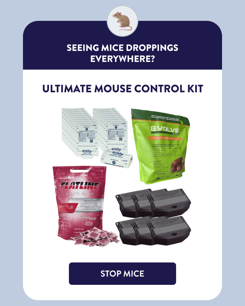 Seeing Mice Droppings Everywhere?  Ultimate Mouse Control Kit  [STOP MICE]