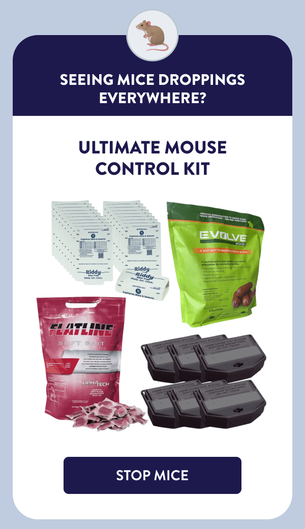 Seeing Mice Droppings Everywhere? Ultimate Mouse Control Kit [STOP MICE]