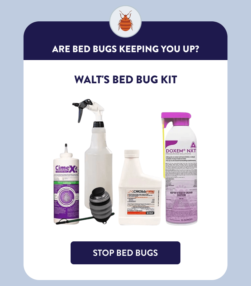 Are Bed Bugs Keeping You Up?  Walt's Bed Bug Kit  [STOP BED BUGS]