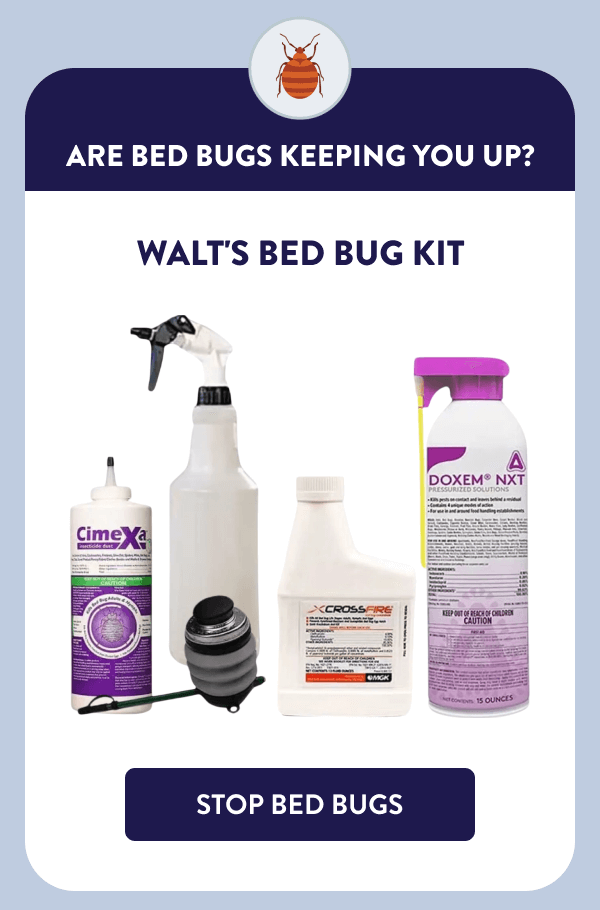 Are Bed Bugs Keeping You Up? Walt's Bed Bug Kit [STOP BED BUGS]