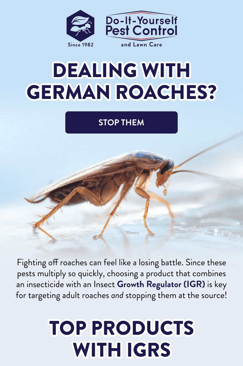 Dealing with German Roaches? [STOP THEM]  Fighting off roaches can feel like a losing battle. Since these pests multiply so quickly, choosing a product that combines an insecticide with an Insect Growth Regulator (IGR) is key for targeting adult roaches and stopping them at the source!  Top Products with IGRs