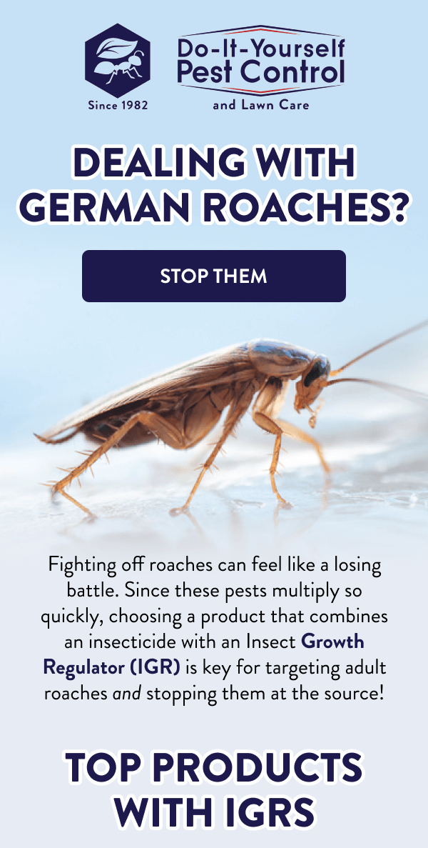 Dealing with German Roaches? [STOP THEM] Fighting off roaches can feel like a losing battle. Since these pests multiply so quickly, choosing a product that combines an insecticide with an Insect Growth Regulator (IGR) is key for targeting adult roaches and stopping them at the source! Top Products with IGRs