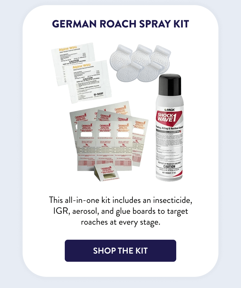 German Roach Spray Kit  This all-in-one kit includes an insecticide, IGR, aerosol, and glue boards to target roaches at every stage.  [SHOP THE KIT]