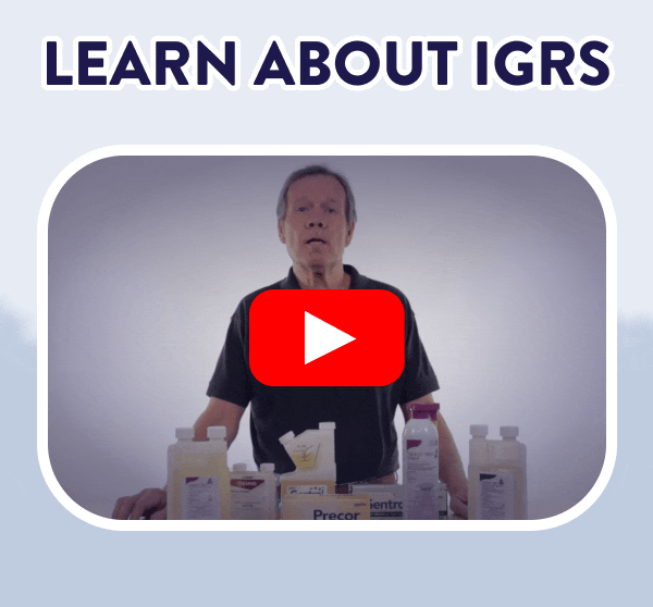 Learn About IGRs