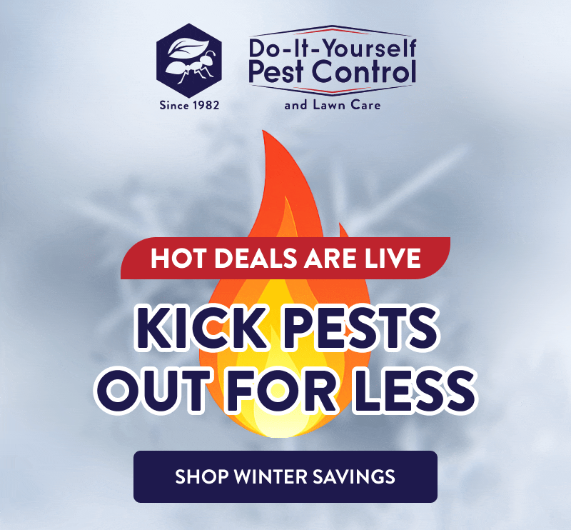 Hot Deals Are Live Kick Pests Out for Less  [SHOP WINTER SAVINGS]