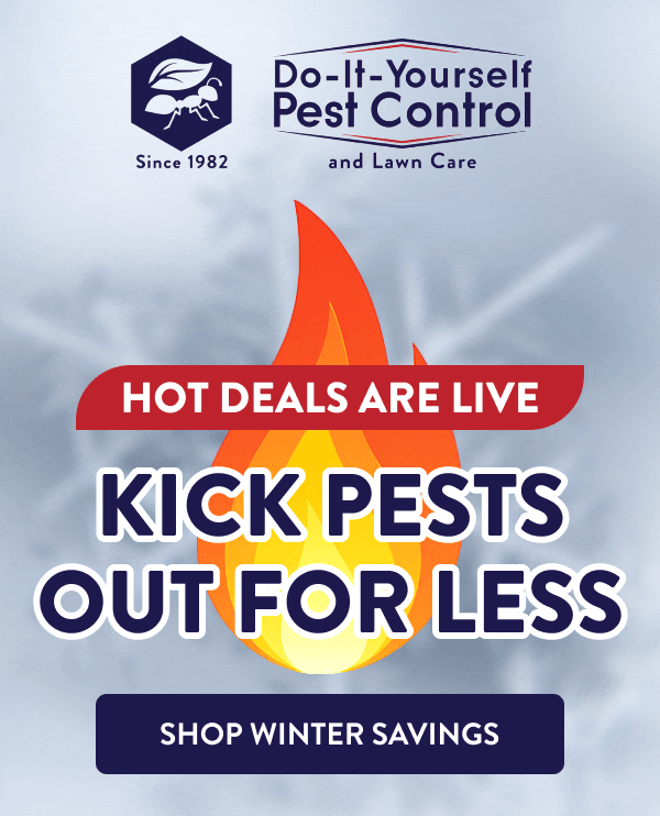 Hot Deals Are Live Kick Pests Out for Less [SHOP WINTER SAVINGS]