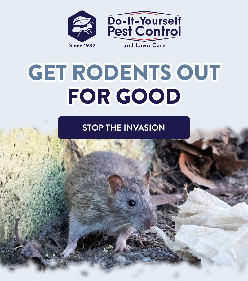 Get Rodents Out for Good  [STOP THE INVASION]