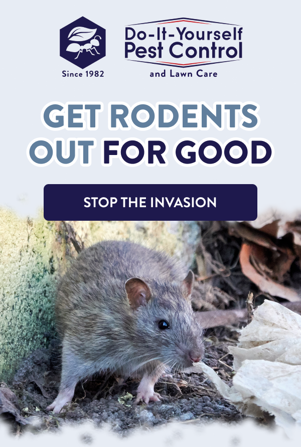 Get Rodents Out for Good [STOP THE INVASION]