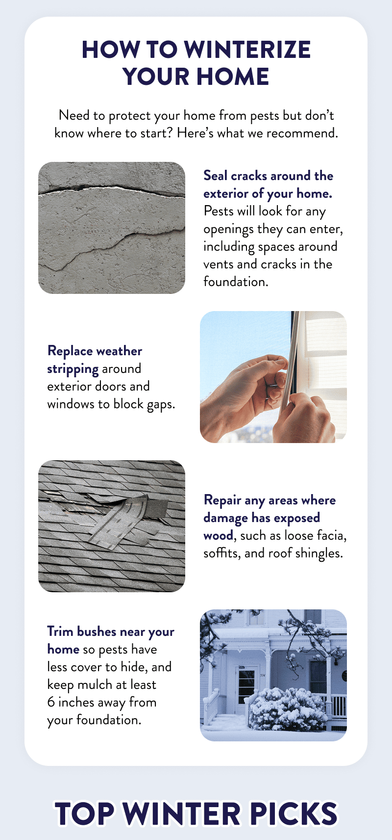 How to Winterize Your Home  Need to protect your home from pests but don’t know where to start? Here’s what we recommend.  Seal cracks around the exterior of your home. Pests will look for any openings they can enter, including spaces around vents and cracks in the foundation. Replace weather stripping around exterior doors and windows to block gaps. Repair any areas where damage has exposed wood, such as loose facia, soffits, and roof shingles. Trim bushes near your home so pests have less cover to hide, and keep mulch at least 6 inches away from your foundation.  Top Winter Picks