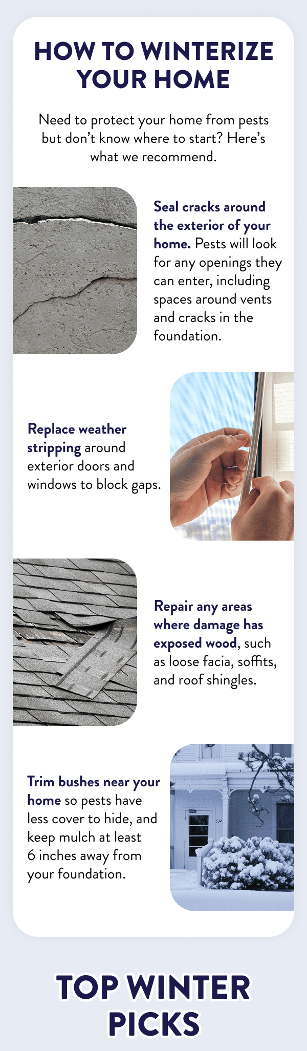 How to Winterize Your Home Need to protect your home from pests but don’t know where to start? Here’s what we recommend. Seal cracks around the exterior of your home. Pests will look for any openings they can enter, including spaces around vents and cracks in the foundation. Replace weather stripping around exterior doors and windows to block gaps. Repair any areas where damage has exposed wood, such as loose facia, soffits, and roof shingles. Trim bushes near your home so pests have less cover to hide, and keep mulch at least 6 inches away from your foundation. Top Winter Picks