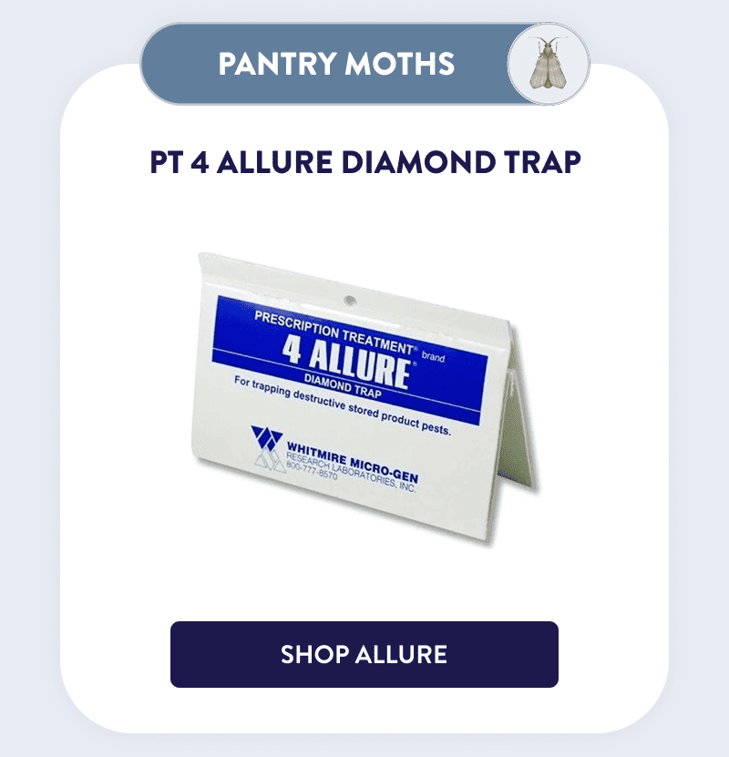 Pantry Moths  PT 4 Allure Diamond Trap  [SHOP ALLURE]