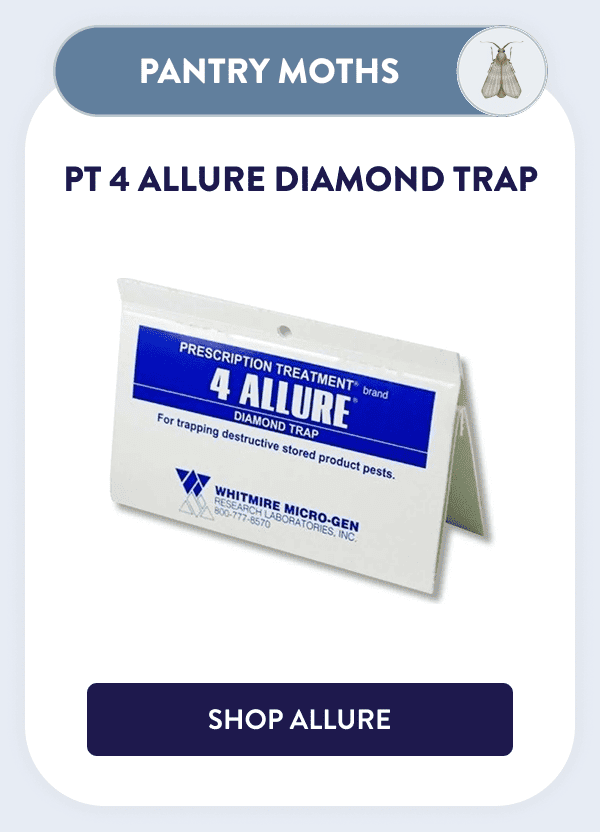 Pantry Moths PT 4 Allure Diamond Trap [SHOP ALLURE]