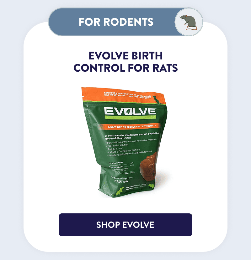 Rodents  Evolve Birth Control for Rats  [SHOP EVOLVE]