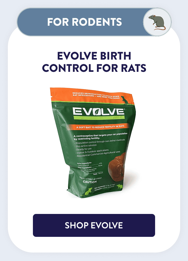 Rodents Evolve Birth Control for Rats [SHOP EVOLVE]