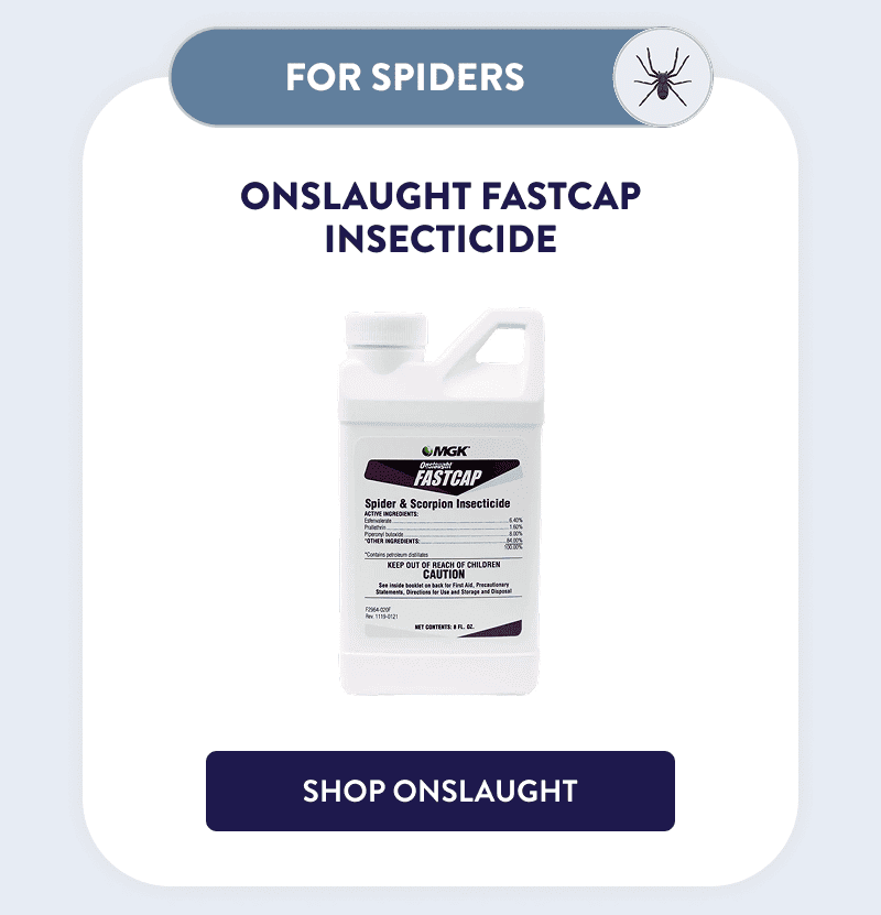 Spiders  Onslaught FastCap Insecticide  [SHOP ONSLAUGHT]