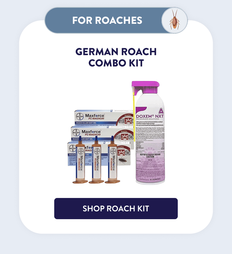 Roaches  German Roach Combo Kit  [SHOP ROACH KIT]
