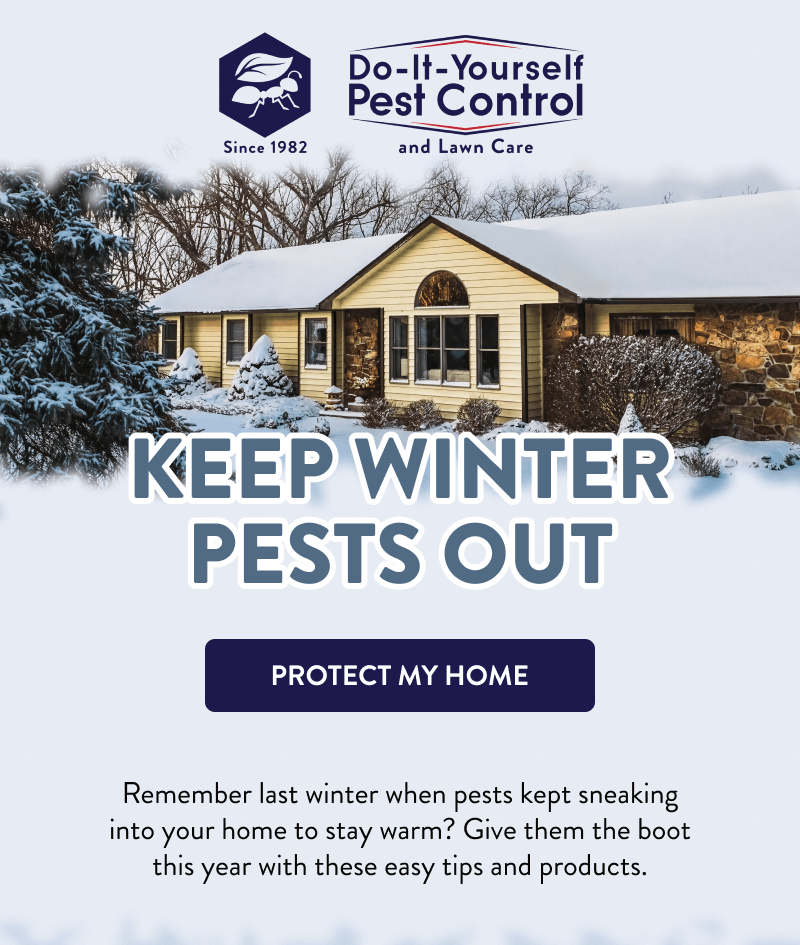 Keep Winter Pests Out  [PROTECT MY HOME]  Remember last winter when pests kept sneaking into your home to stay warm? Give them the boot this year with these easy tips and products.