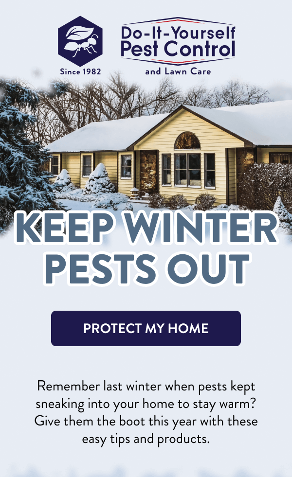 Keep Winter Pests Out [PROTECT MY HOME] Remember last winter when pests kept sneaking into your home to stay warm? Give them the boot this year with these easy tips and products.